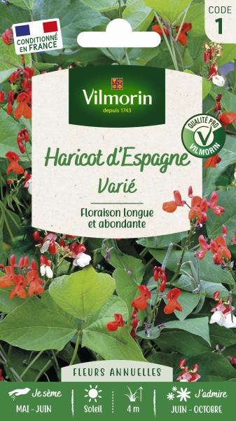 Fleurs - Haricot d'Espagne Varié - PACKAGING_RECTO